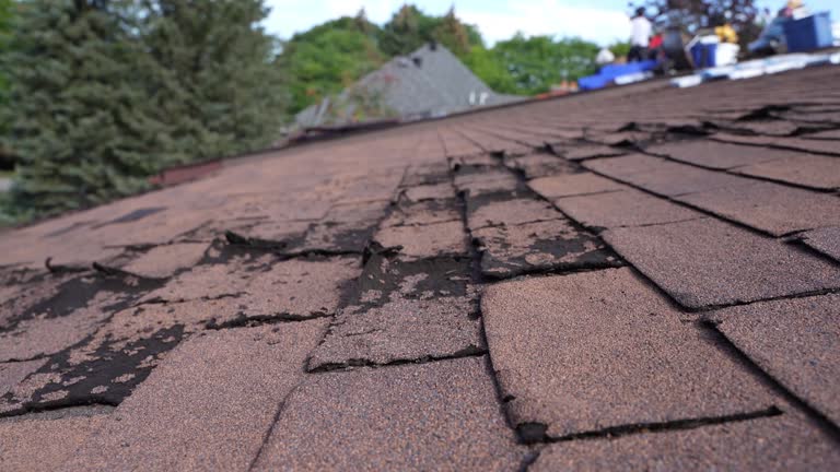 Best Roof Coating Services  in USA